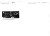 Virgoiulus minutus, author: Henry W. Bremann, Henri Ribaut, Maria Prin, Jean-Paul Mauri et al. (1890-1999): Bremann iconographic file & successors