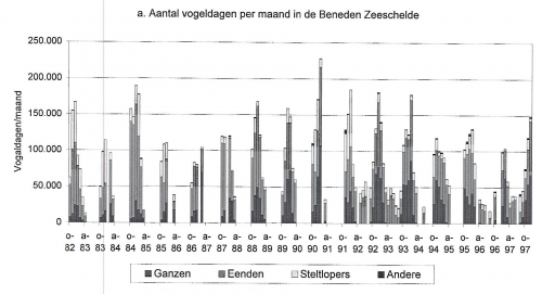 Aantal vogeldagen per maand in de Beneden Zeeschelde van oktober '82 tot december '97