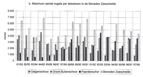 Maximum aantal vogels per telseizoen in de Beneden Zeeschelde van '81/'82 tot december '97 Maximum aantal vogels per telseizoen in de Beneden Zeeschelde van '81/'82 tot december '97