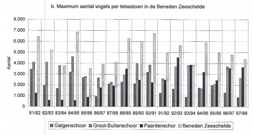 Maximum aantal vogels per telseizoen in de Beneden Zeeschelde van '81/'82 tot december '97