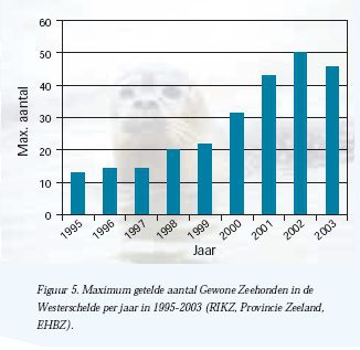 Maximum getelde aantal Gewone Zeehonden in de Westerschelde per jaar in 1995-2003