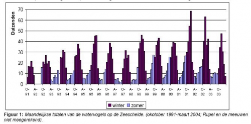 Maandelijkse totalen van de watervogels op de Zeeschelde (oktober 1991-maart 2004)