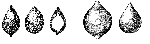 Caudammina ovulum (Grzybowski, 1896) emend. Geroch, 1960