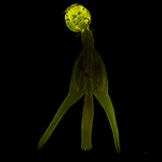 image 184091