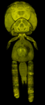image 184092