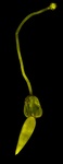 image 184093