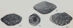 Fusulina pumila Thompson, 1934