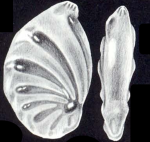 Planularia (?) ascensiformis McCulloch, 1981