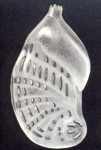 Planularia (?) ineffecta McCulloch, 1981