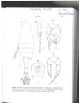 Pseudodiaptomus poplesia
