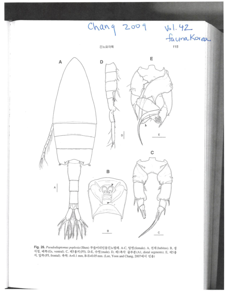 Pseudodiaptomus poplesia