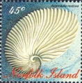 Cephalopoda