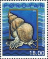Mollusca (molluscs)