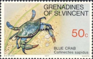 Callinectes sapidus, author: Collection Georges Declercq