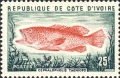 Perciformes