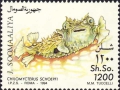 Tetraodontiformes