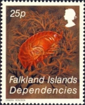 Epimeria monodon