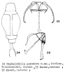 Cephalodella pseudeva - Original description image, author: Christian D. Jersabek