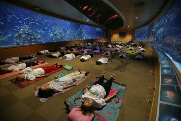 Yoga session at the "Oceans and Human Well Being" activitiy of Mar Vivo