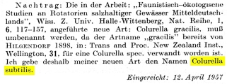 Colurella subtilis - Original description image, author: Christian D. Jersabek