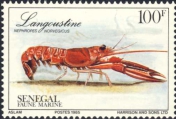 Nephrops norvegicus, author: Collection Georges Declercq