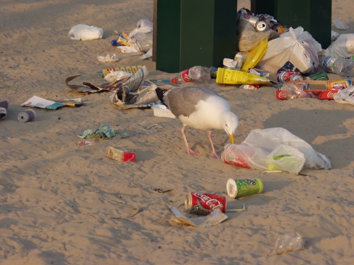 Op het strand na een drukke dag heerlijk afvallen. 