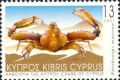 Decapoda