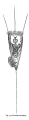 Eretmia tetrathrix