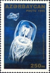 Polyorchis karafutoensis