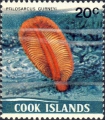 Octocorallia