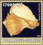 Species