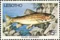 Salmoniformes