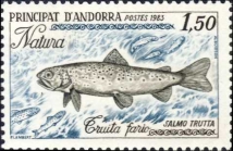 Salmo trutta