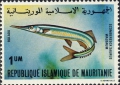 Beloniformes