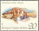 Perciformes