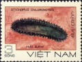 Holothuroidea (sea cucumbers)