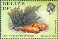 Octocorallia