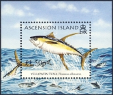 Thunnus albacares