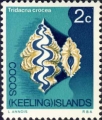 Tridacna crocea, author: Collection Georges Declercq