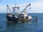 VLIZ website: Fisheries and aquaculture: Fisheries