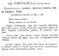 Vorticella furcata