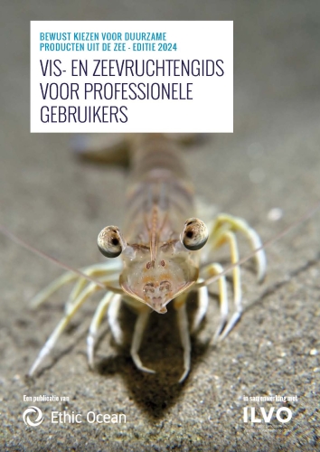 Vis- en zeevruchtengids voor professionele gebruikers: Bewust kiezen voor duurzame producten uit de zee Vis- en zeevruchtengids voor professionele gebruikers: Bewust kiezen voor duurzame producten uit de zee
