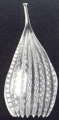 Lagena (?) neodesmorpha McCulloch, 1981