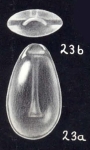 Parafissurina abbotti McCulloch, 1981
