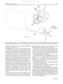 Xylocythere sarrazinae Tanaka, Lelièvre & Yasuhara, 2019 from the original description