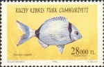 Diplodus vulgaris