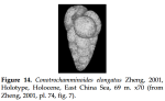 Conotrochamminoides elongatus Zheng & Fu, 2001