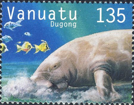 Dugong dugon