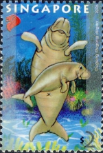 Dugong dugon