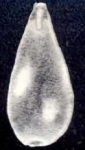 Parafissurina ringens McCulloch, 1981